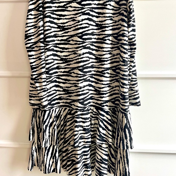 Vintage Bazaar Long Sleeve Zebra Dress - Picture 4 of 5